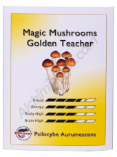 Spores Print Golden Teacher