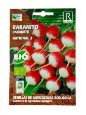 Rocalba National 2 Organic Radish