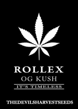 Rollex OG Kush