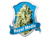 Royal Medic 5 semillas