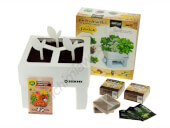 BATLLE Seeds Box – Culinaires