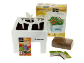 Seeds Box Picants BATLLE