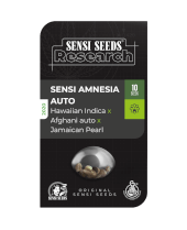 Sensi Amnesia