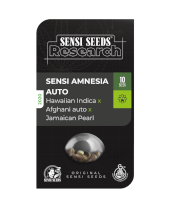 Sensi Amnesia Automatic