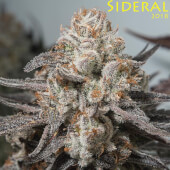 Sideral