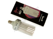 Solux Light Bulb LED bloom