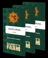 Sour Diesel - Barney's Farm
