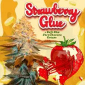 Strawberry Glue 7 semillas + 1 French Macaron