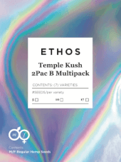 Temple Kush Multipack B - Regular