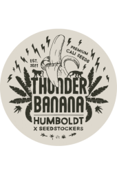 Thunder Banana Regular, Humboldt line