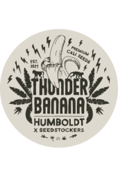 Thunder Banana