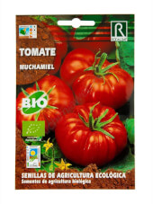 Tomate Bio Muchamiel de Rocalba 