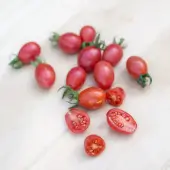 Cerise Rose Whippersnapper Tomato - Kokopelli
