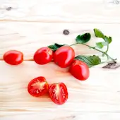 Tomate Early Cherry Kokopelli