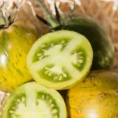 Zwischensaison Grüne Tomate Green Zebra Kokopelli