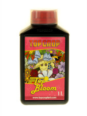Top Bloom