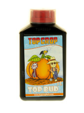 Top Bud