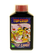 Top Candy