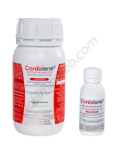 Trabe Cordalene