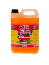 TriPart Bloom de T.A. (antes FloraBloom® de GHE)