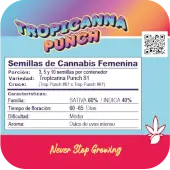 Tropicanna Punch