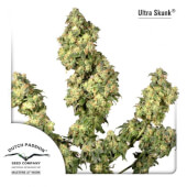 Ultra Skunk 