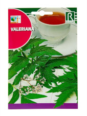 Valeriana de Rocalba