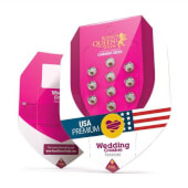 Wedding Crasher