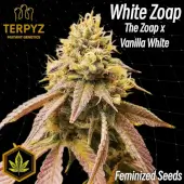 White Zoap