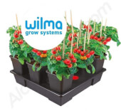 Wilma XXL V2