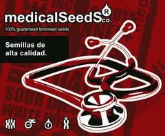 Y Griega - Medical Seeds