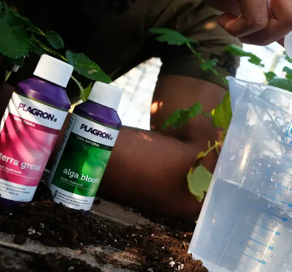 Fertilizantes Plagron alga