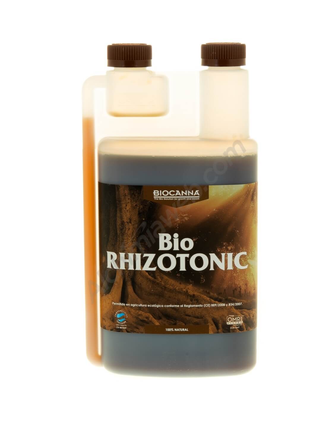 Bio rhizotonic mature bbw pantyhose