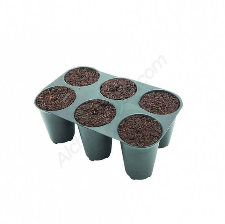 1pc Plateau De Germination De Graines