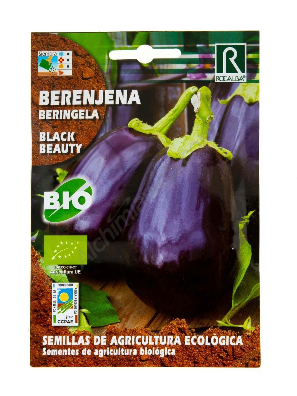 Rocalba - Bio-Auberginensamen 'Black Beauty'
