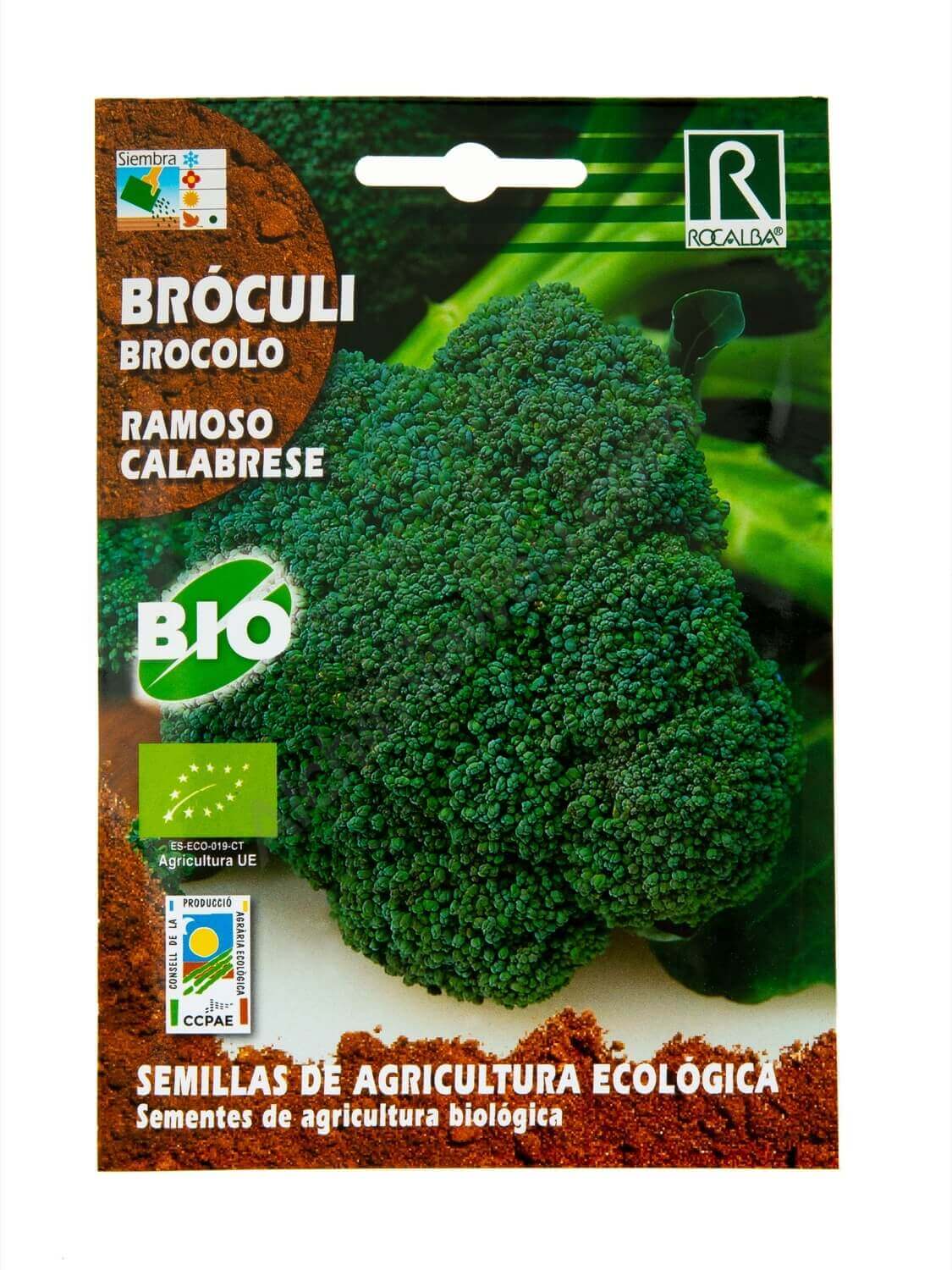 Bróculi Ramoso Calabrese Bio de Rocalba