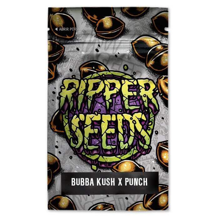 Bubba Kush x Purple Punch
