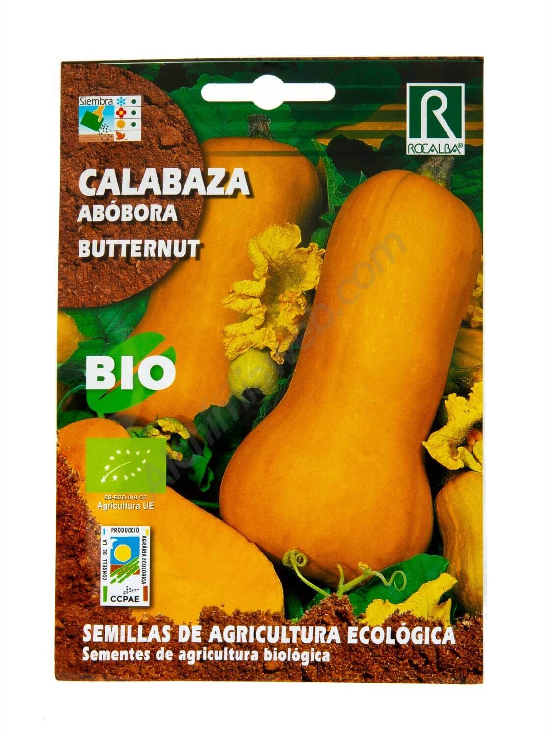 Calabaza Butternut Bio de Rocalba