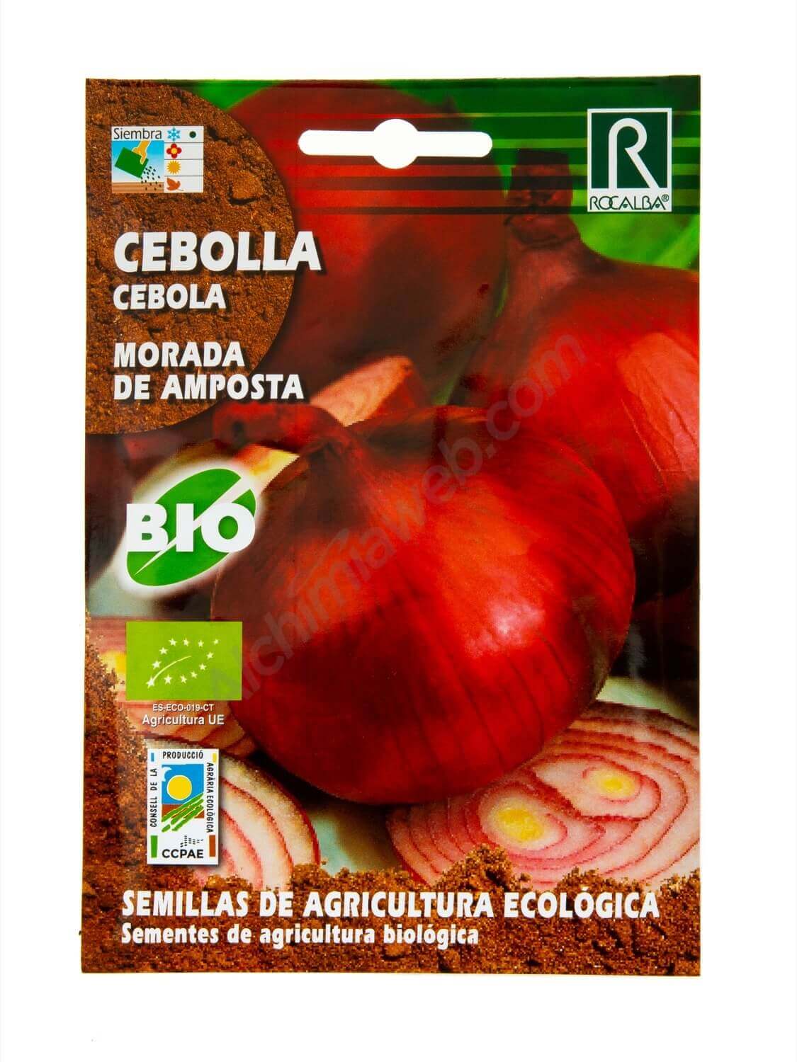 Rocalba - Rote Zwiebel aus Amposta Bio-Samen