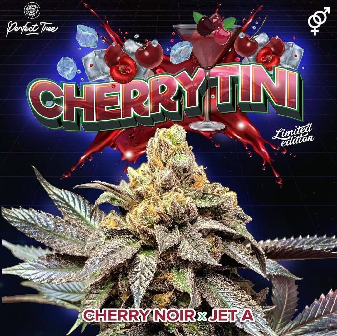 Cherrytini - Regular