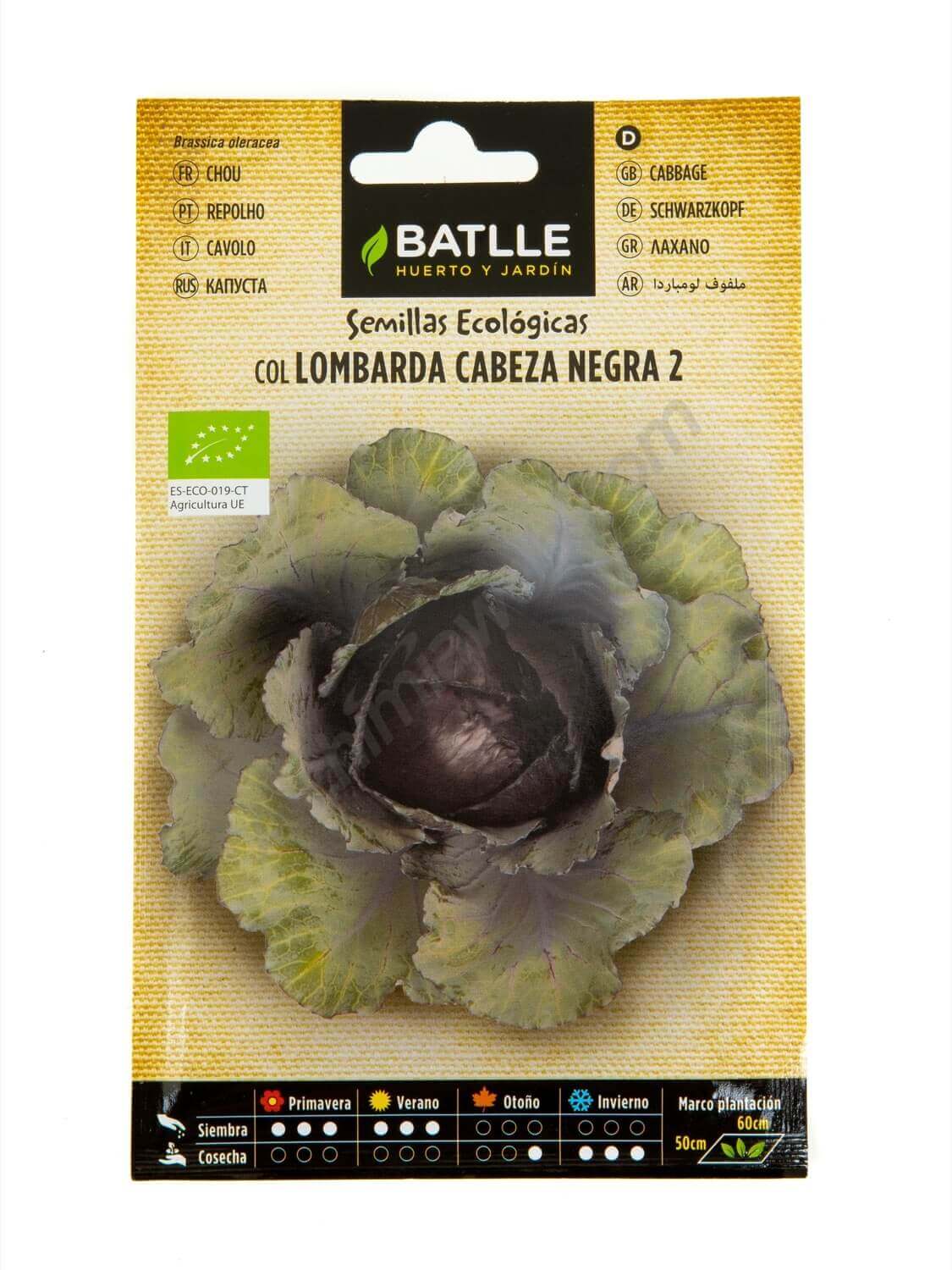 Batlle - 'Cabeza Negra 2' Rotkohlsamen