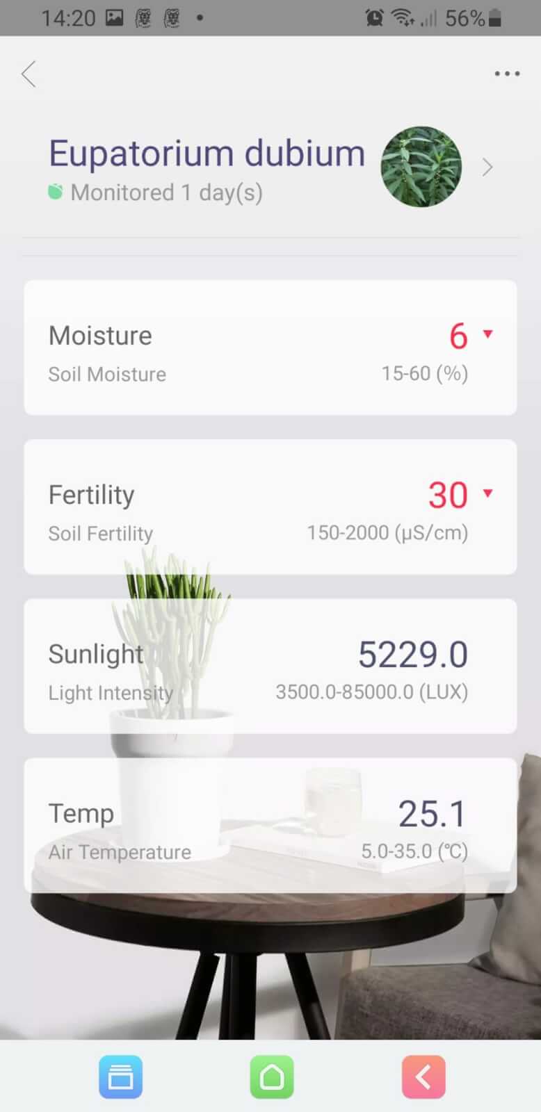 Anguila Medicina Entretenimiento Venta de Flower Care Smart Monitor Xiaomi