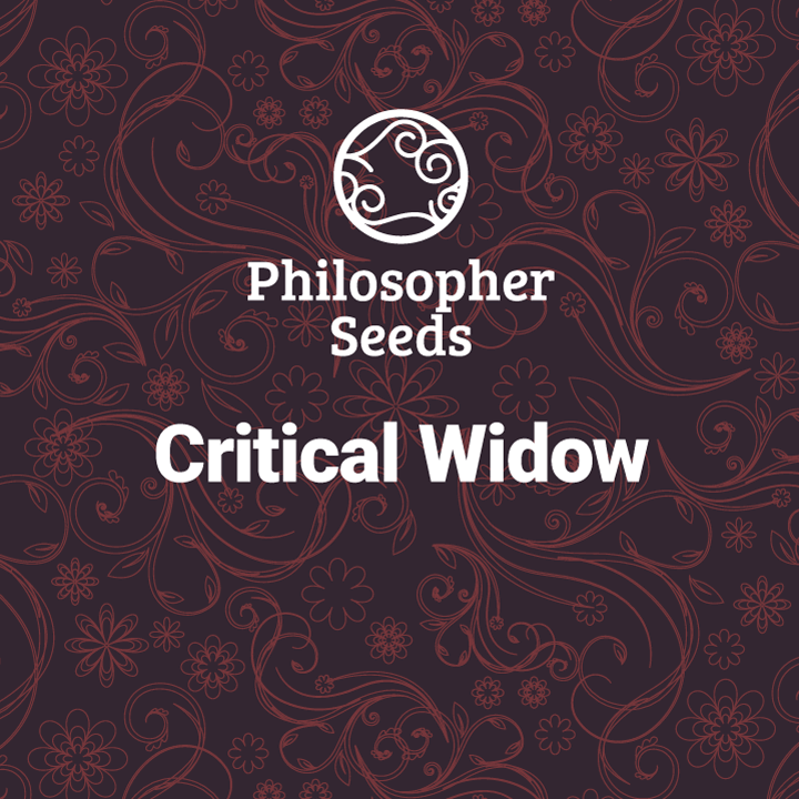 Critical Widow 