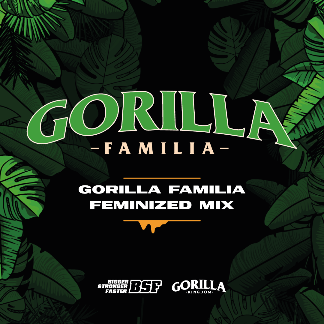 Gorilla Kingdom Familia Mix