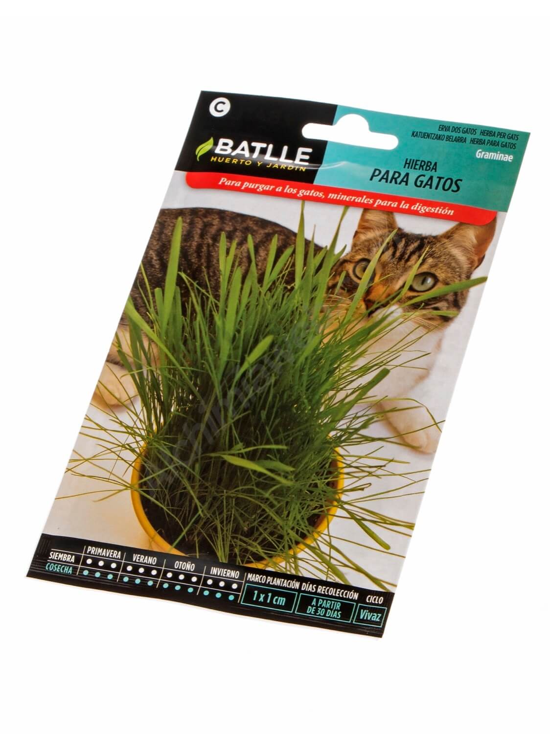 Cat Grass - Batlle