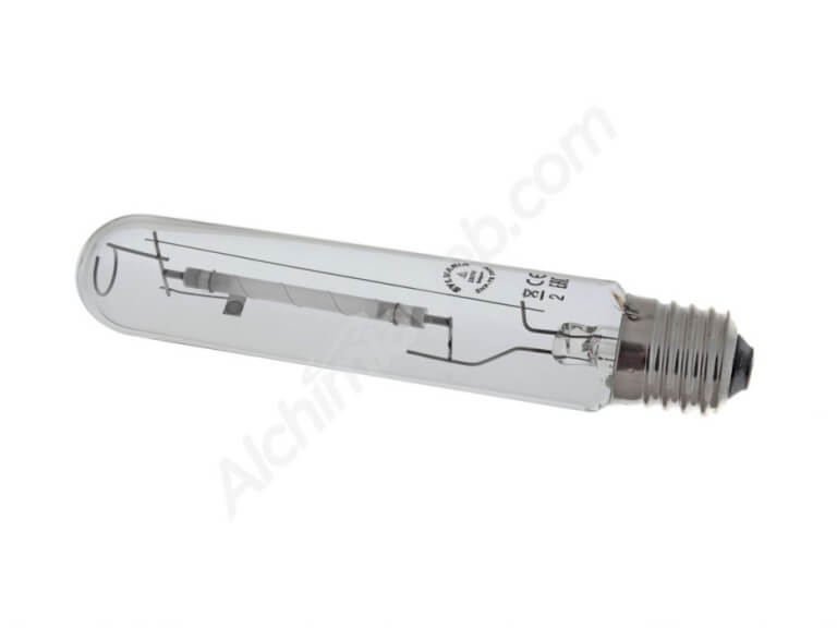 Sylvania HPS 250W Lampe - Blüte