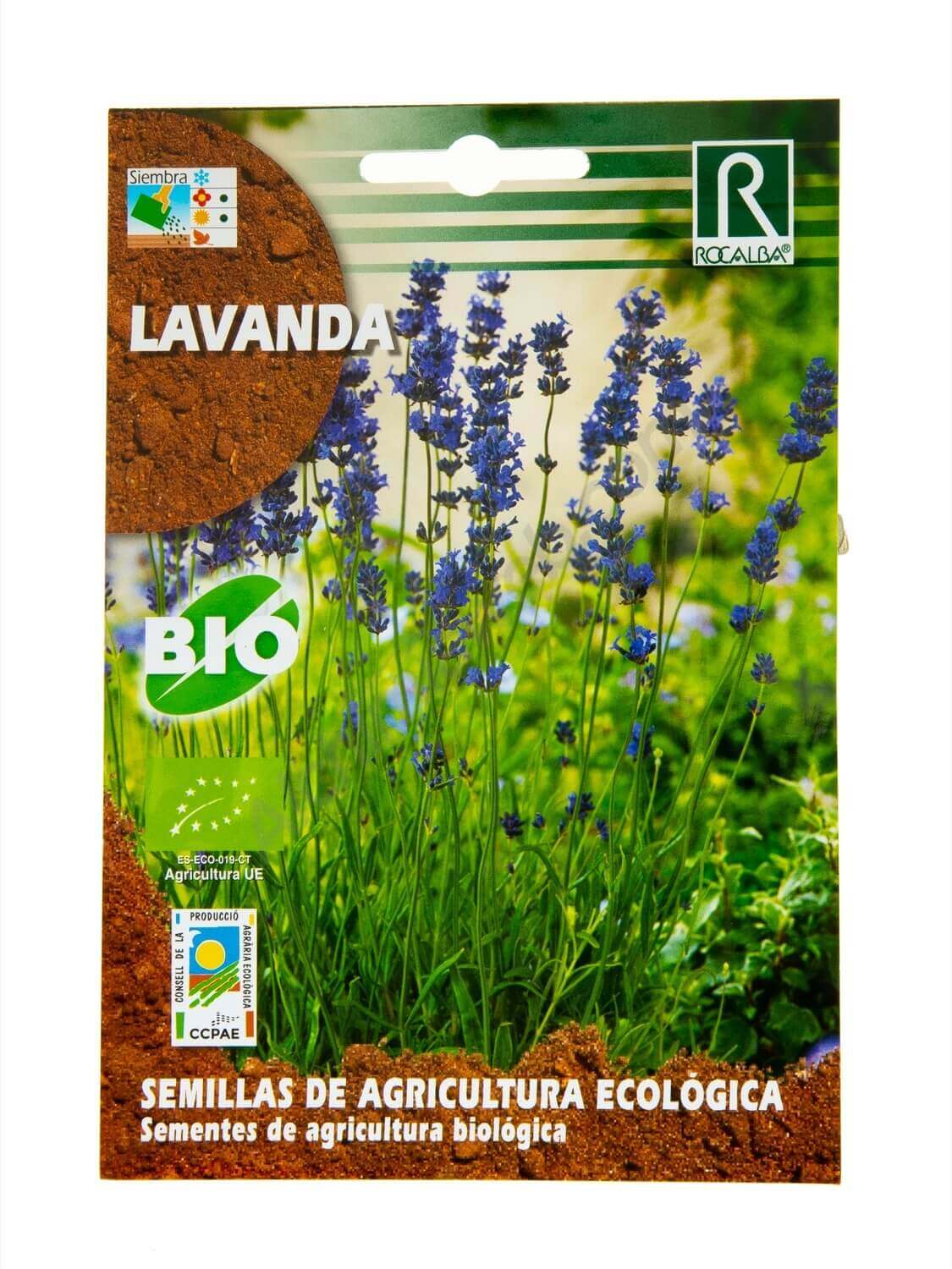 Rocalba Organic Lavender 