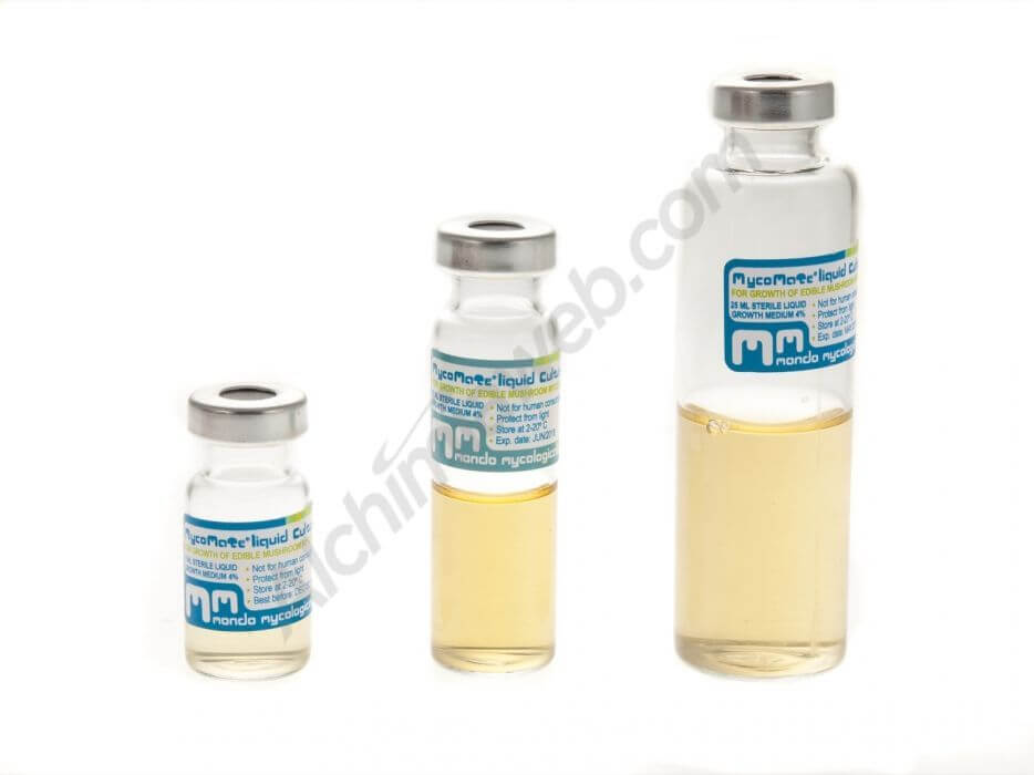 Mycomate mycelium liquid culture vial