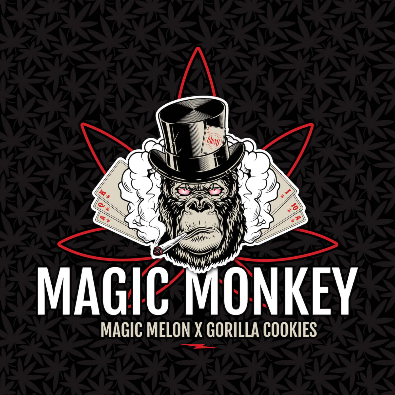 Magic Monkey