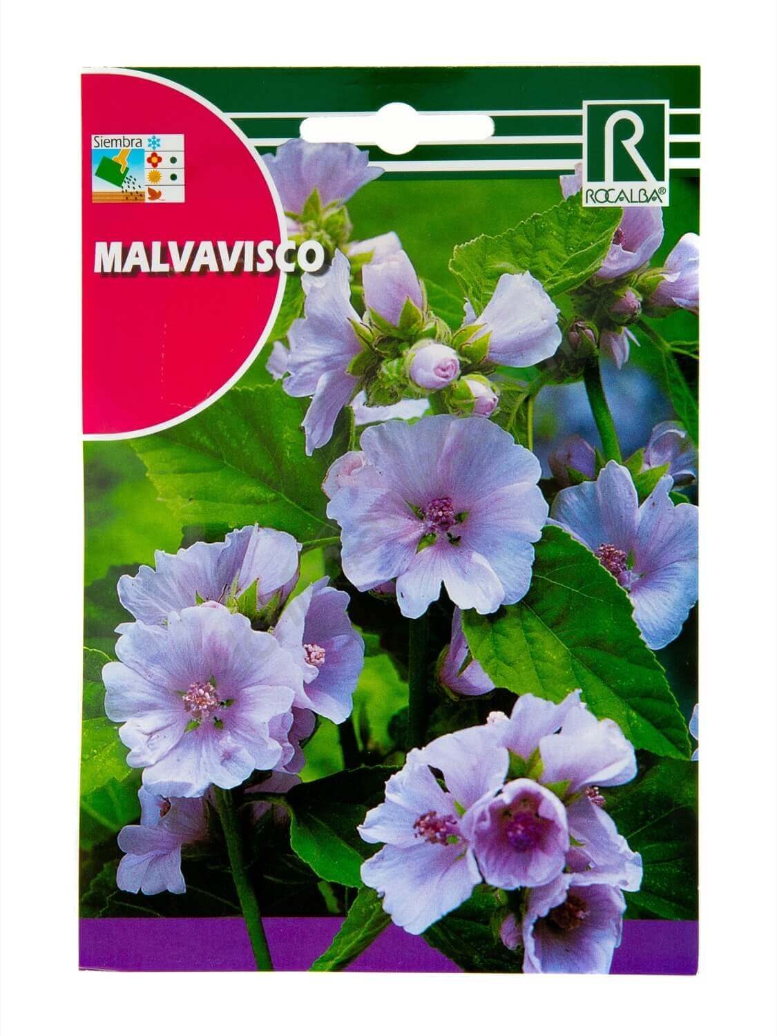 Malvavisco - Rocalba